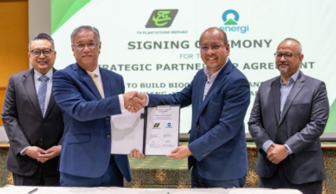 TH PLANTATIONS FORMS PARTNERSHIP WITH CENERGI