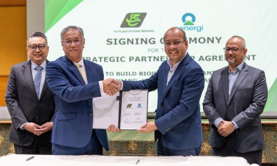TH Plantations Forms Partnership