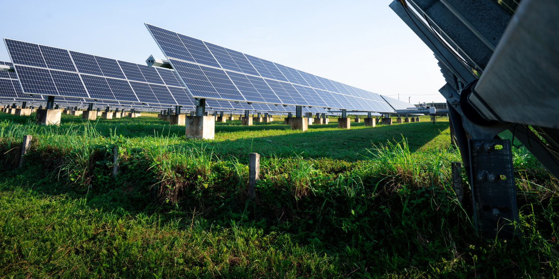 sustainable initiatives